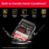 SanDisk Extreme Pro - 256GB - 95MB/s | BRAND NEW